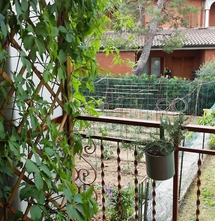 Residenza Dei Pini * 西维尔诺瓦·马尔凯