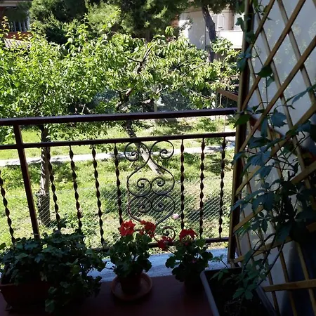 Residenza Dei Pini Appartamento *